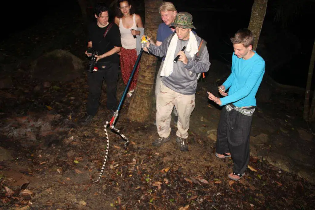 Hands-on reptile internship, but safe. You won't be handling any deadly snakes, unless you already have experience doing so.