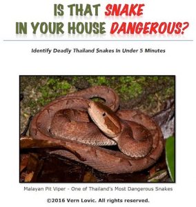 Book - Is that snake in your house dangerous by Vern Lovic