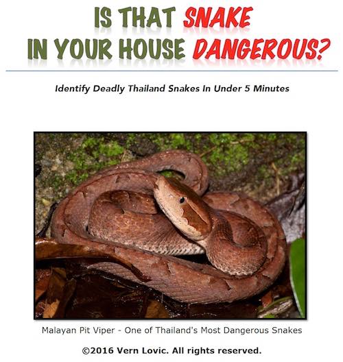 Book - Is that snake in your house dangerous by Vern Lovic