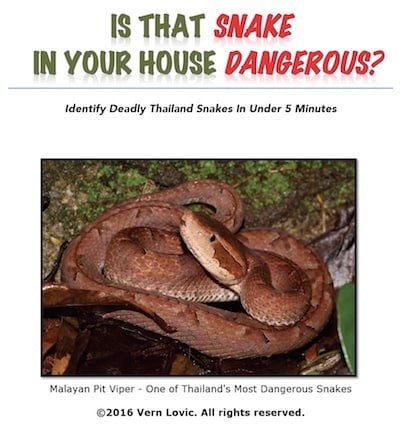 Is that snake in your house dangerous book to help people identify dangerous southeast asia snakes.