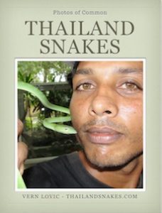 Book - Photos of Common Thailand Venomous and Non-venomous Snakes.