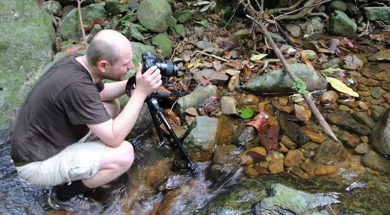 Domokos Toth shooting in-situ photos of a green pit viper in Southeast Asia.