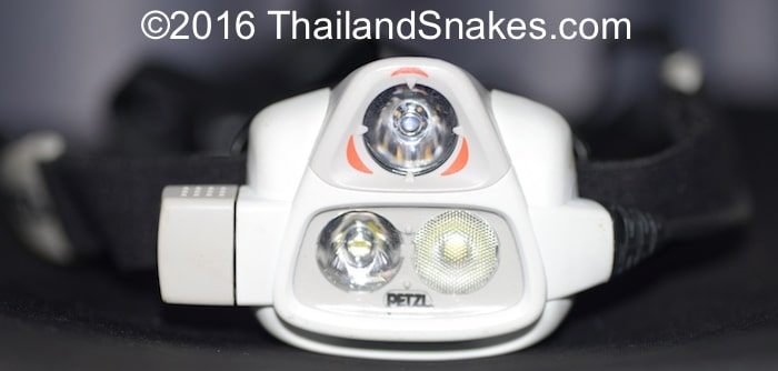 Petzl Nao 2 headlamp for herping snakes in Thailand.