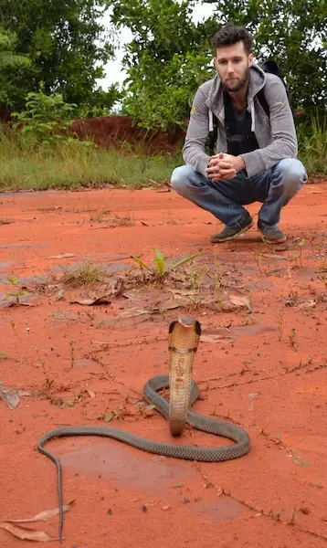 Alex Gillard with a juvenile King Cobra from Thailand Snakes herping adventures.