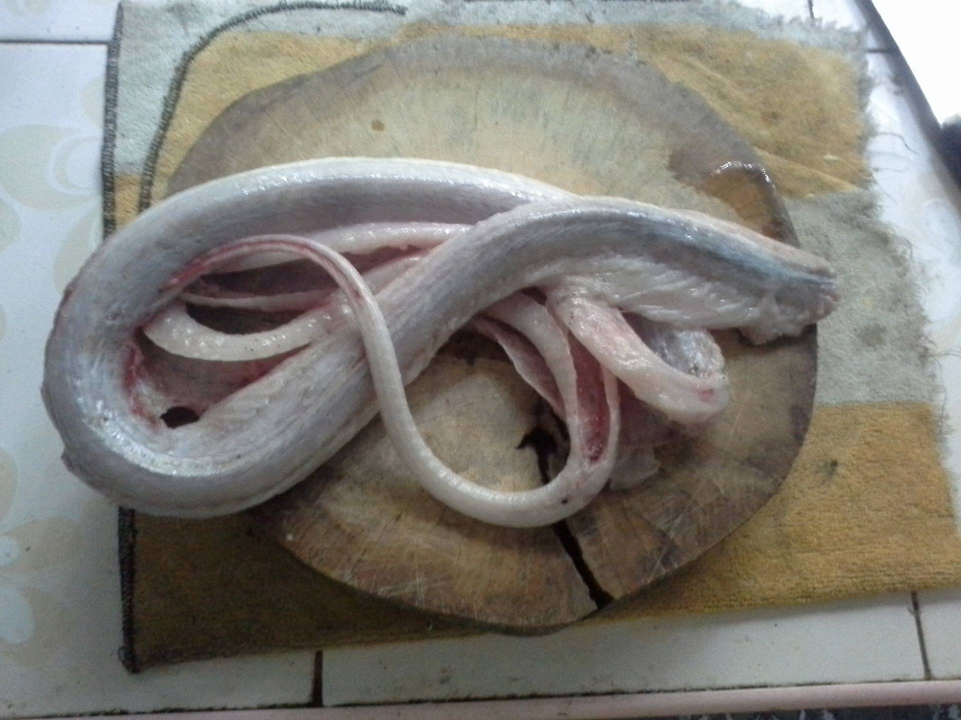 Skinned monocled cobra before cooking (raw).