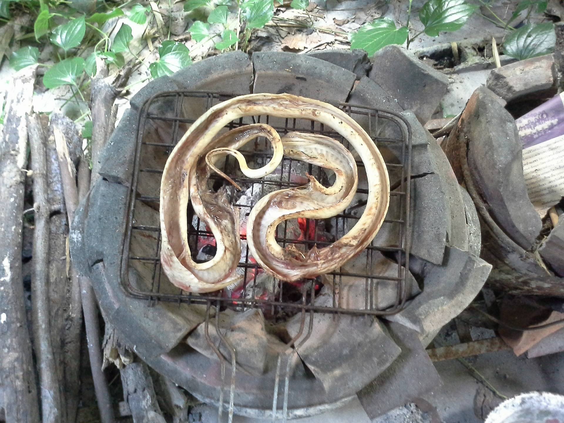 Skinned Cobra on the grill.