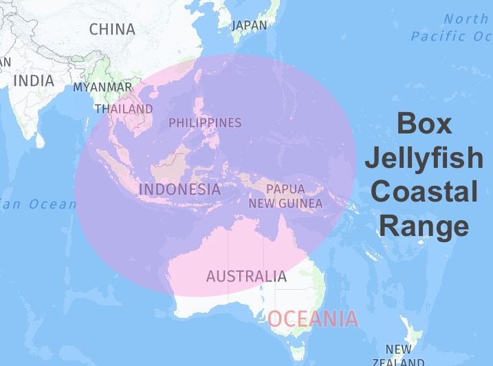 Box jellyfish coastal distribution range across Southeast Asia, Australia, Indo-Pacific regions.