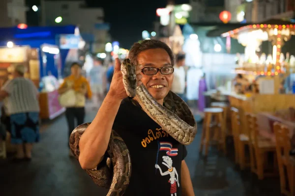 How Common Are Snakes in Thailand