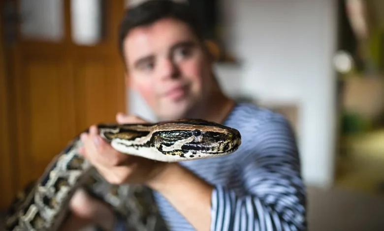 Man holding a Snake Is That Snake In Your House Dangerous