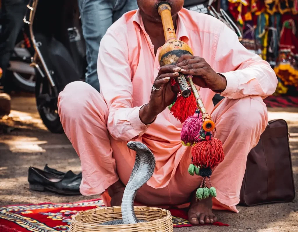 Man Playing Flute On A Cobra The Snake Charmer Book