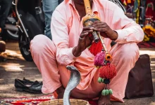 Man Playing Flute On A Cobra The Snake Charmer Book